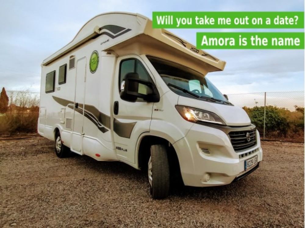 image of Amora