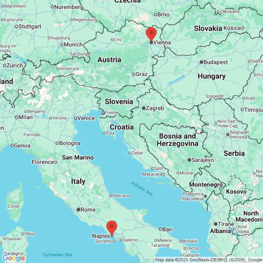 Trip between Naples and Vienna