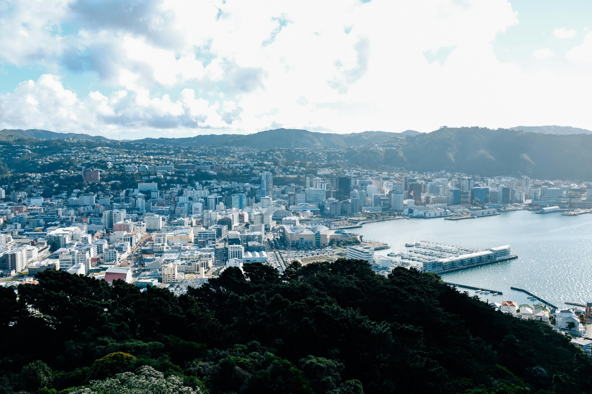 Relocation destination landscape