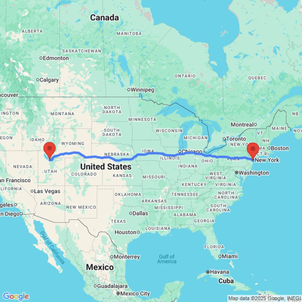 Comfort Family - image 3