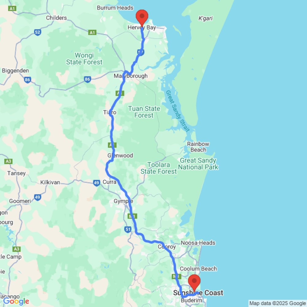 Best Available Vehicle - image 2