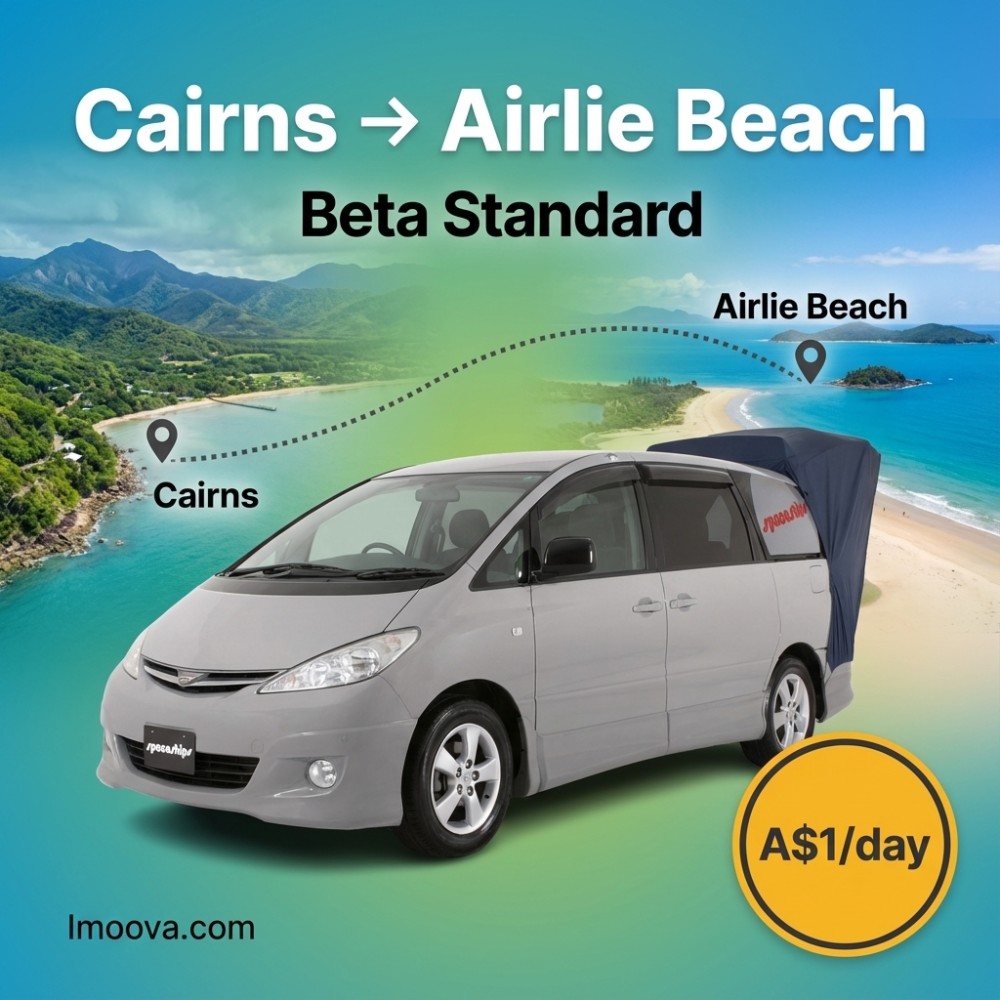 Beta Standard - image 1