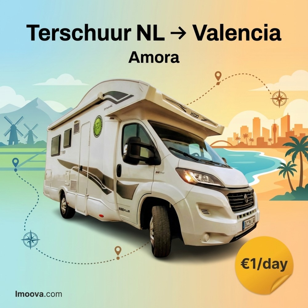 Amora available for relocation from Terschuur NL to Valencia