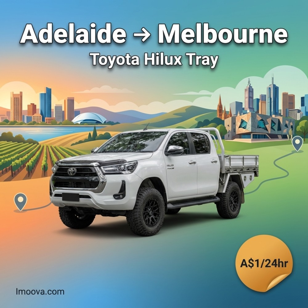 Toyota Hilux Tray - image 1