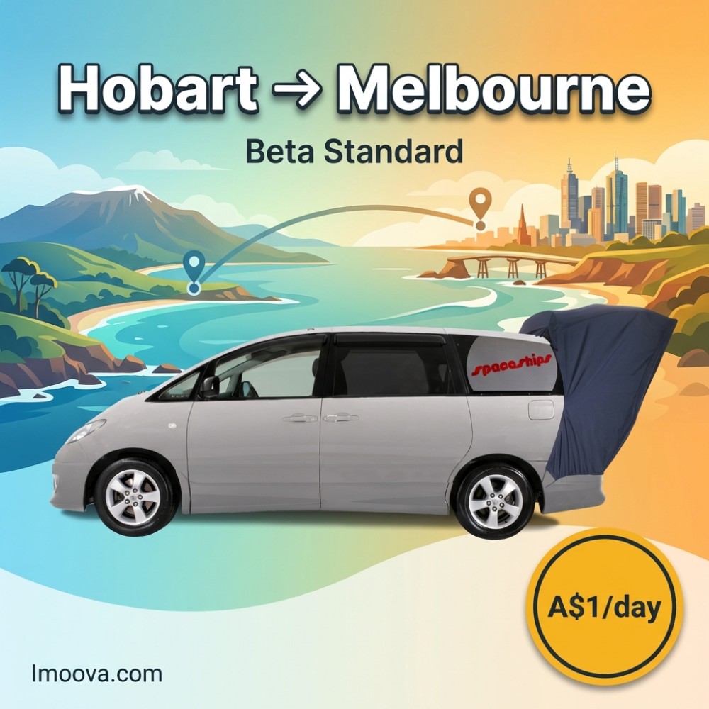 Beta Standard - image 1