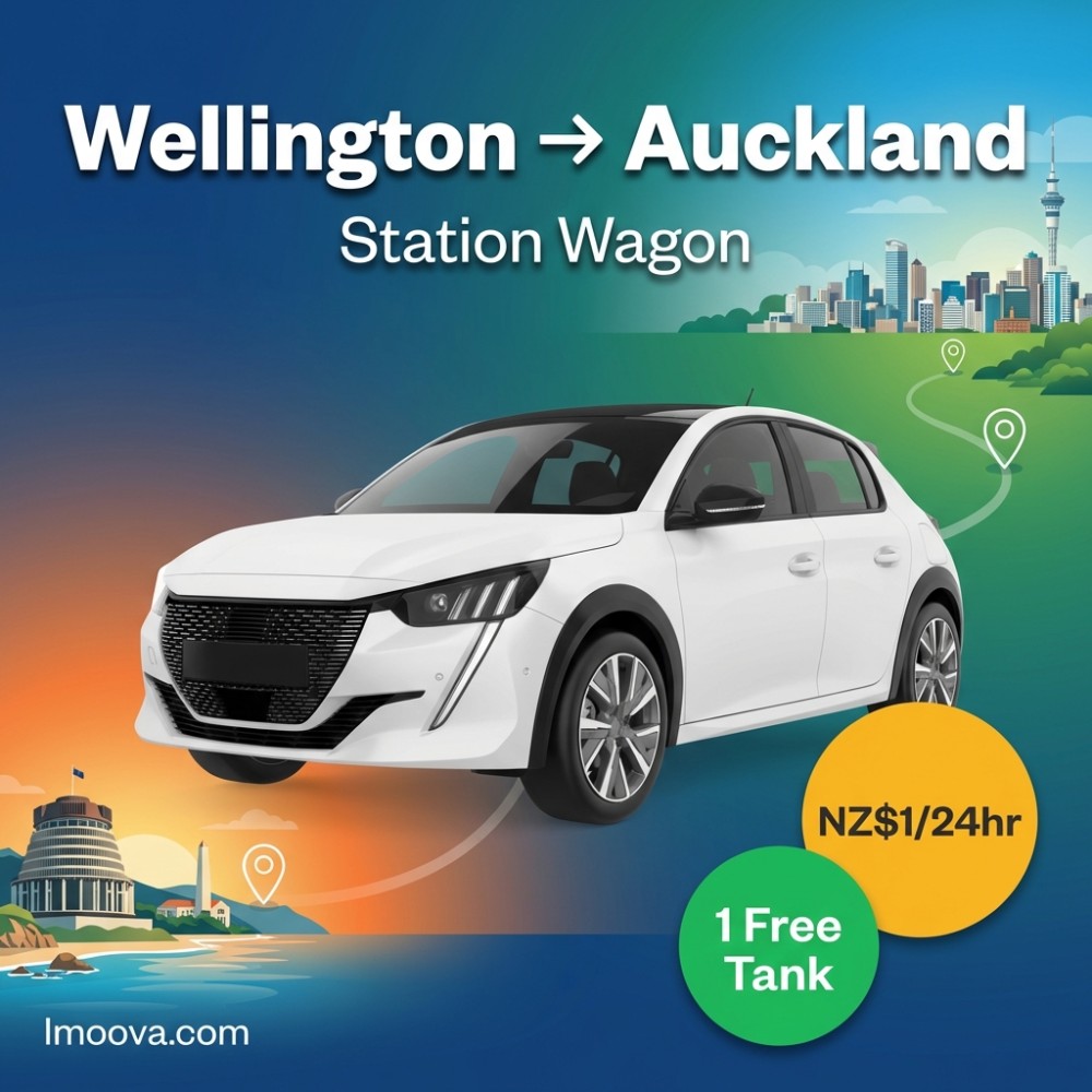 Station Wagon - image 1