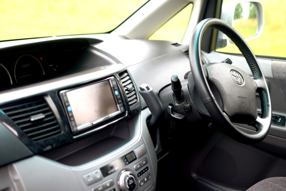 Princess Voxy - image 9