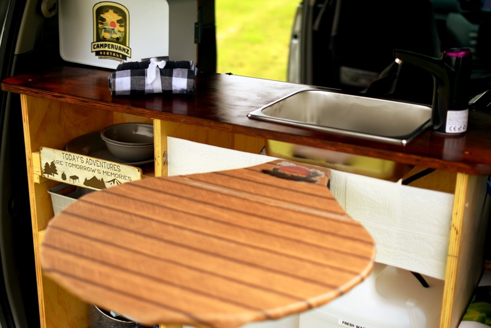 Princess Voxy - image 10