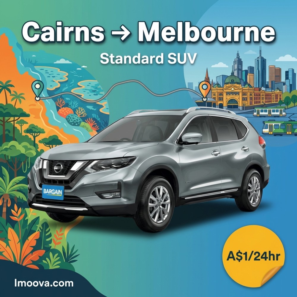 Standard SUV - image 1