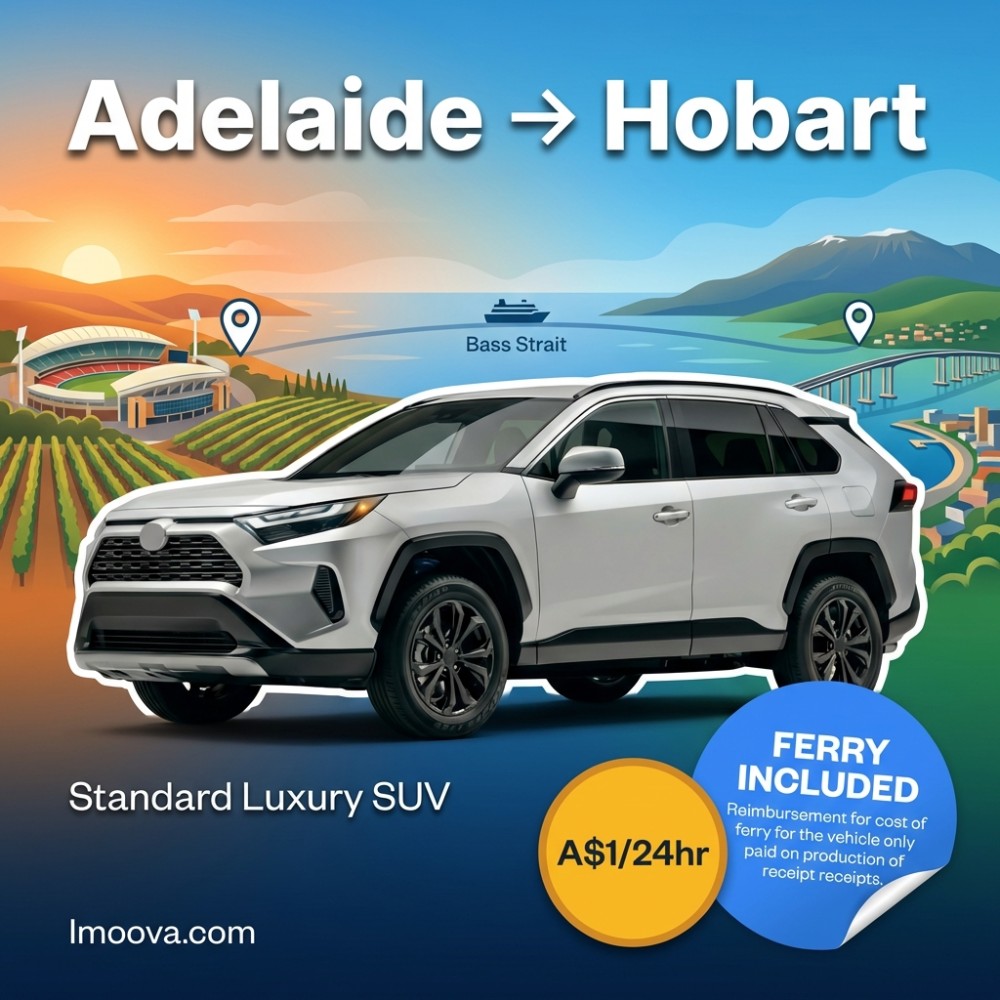 Standard Luxury SUV - image 1