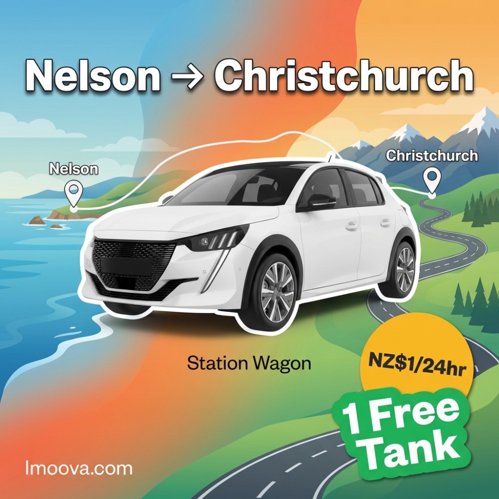 Station Wagon - image 1