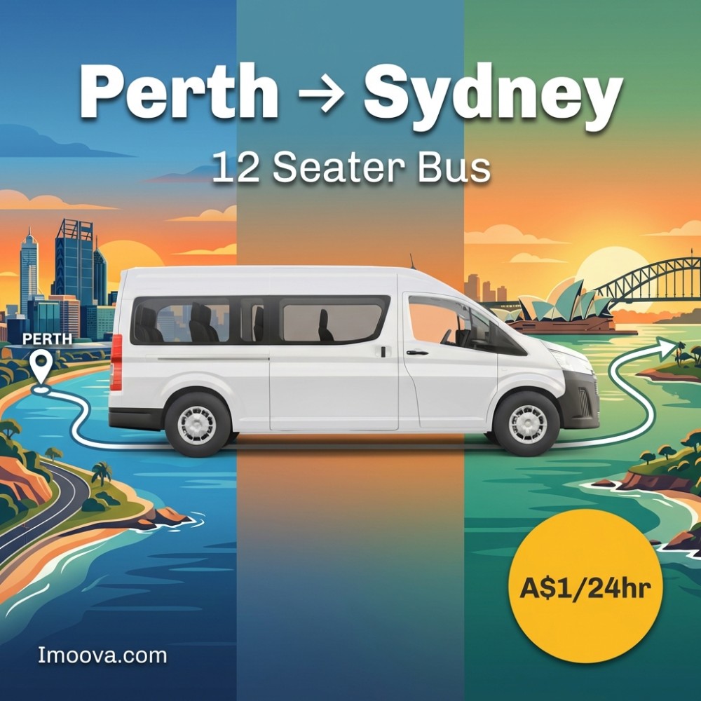 12 Seater Bus - image 1