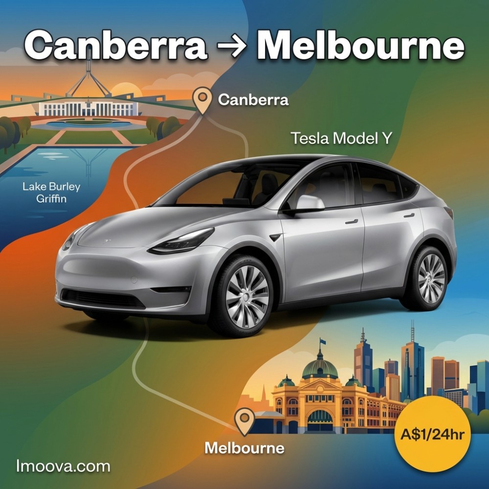 Tesla Model Y - image 1