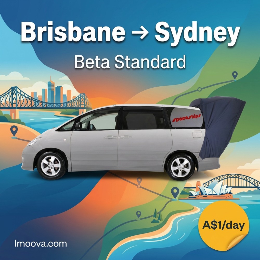 Beta Standard - image 1