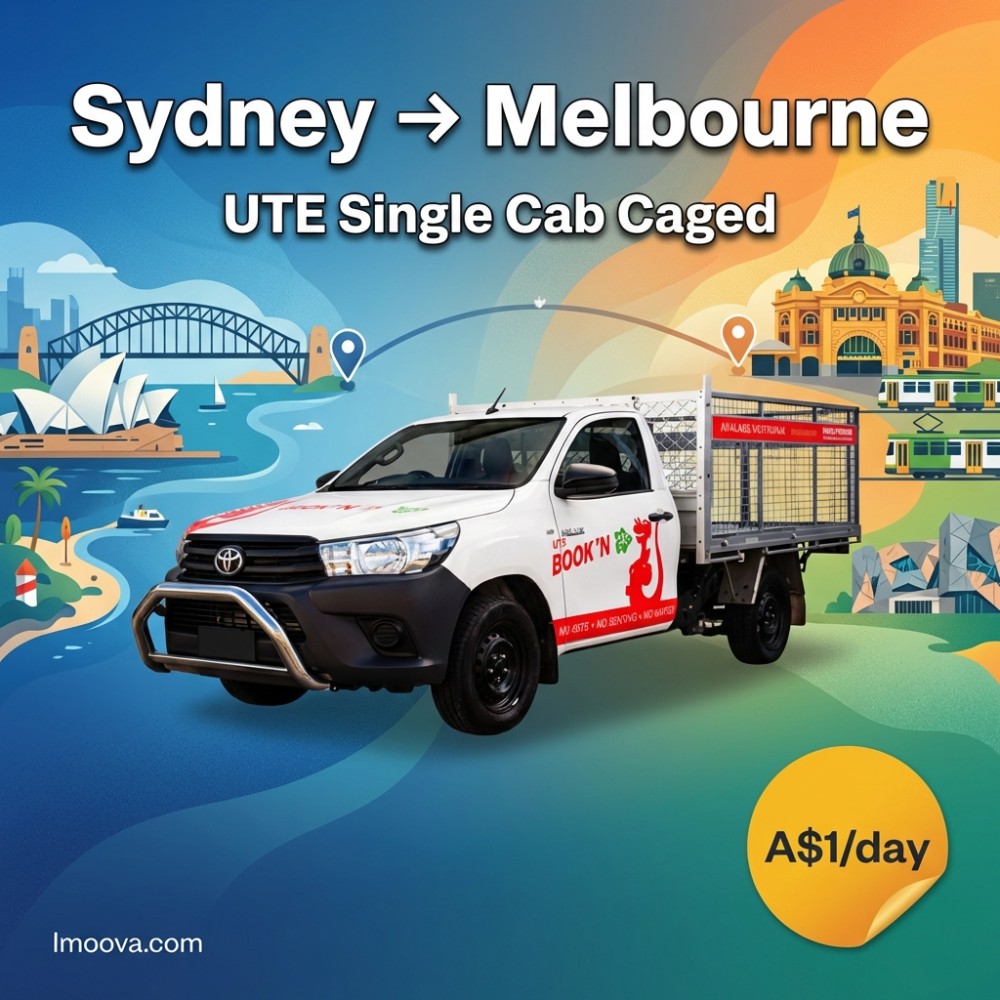 UTE Single Cab Caged - image 1