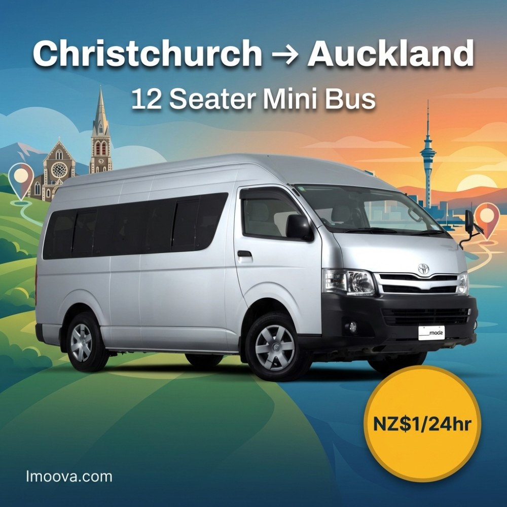 12 Seater Mini Bus - image 1
