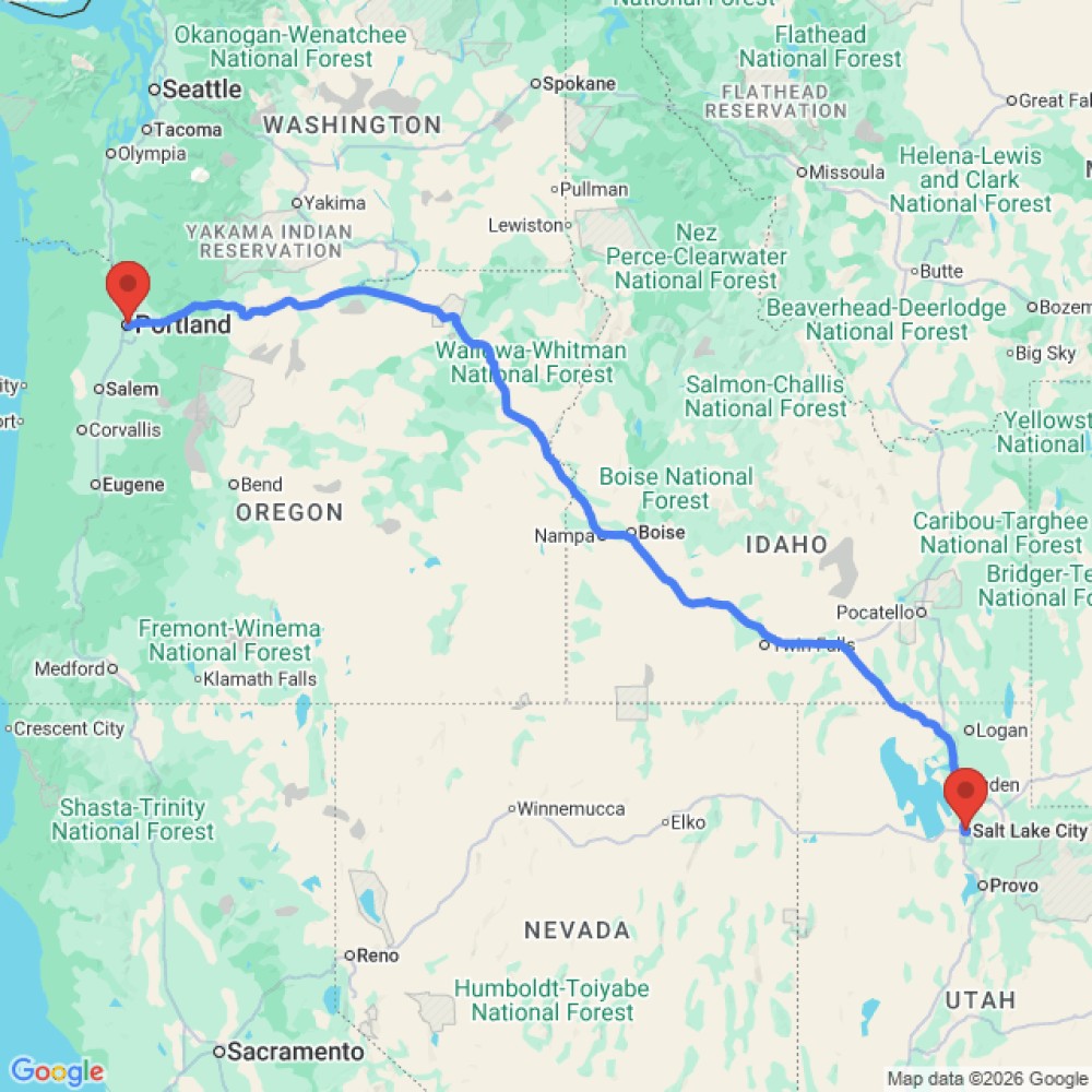 Comfort Standard - image 3