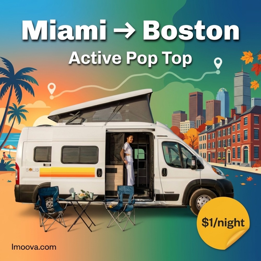 Active Pop Top - image 1