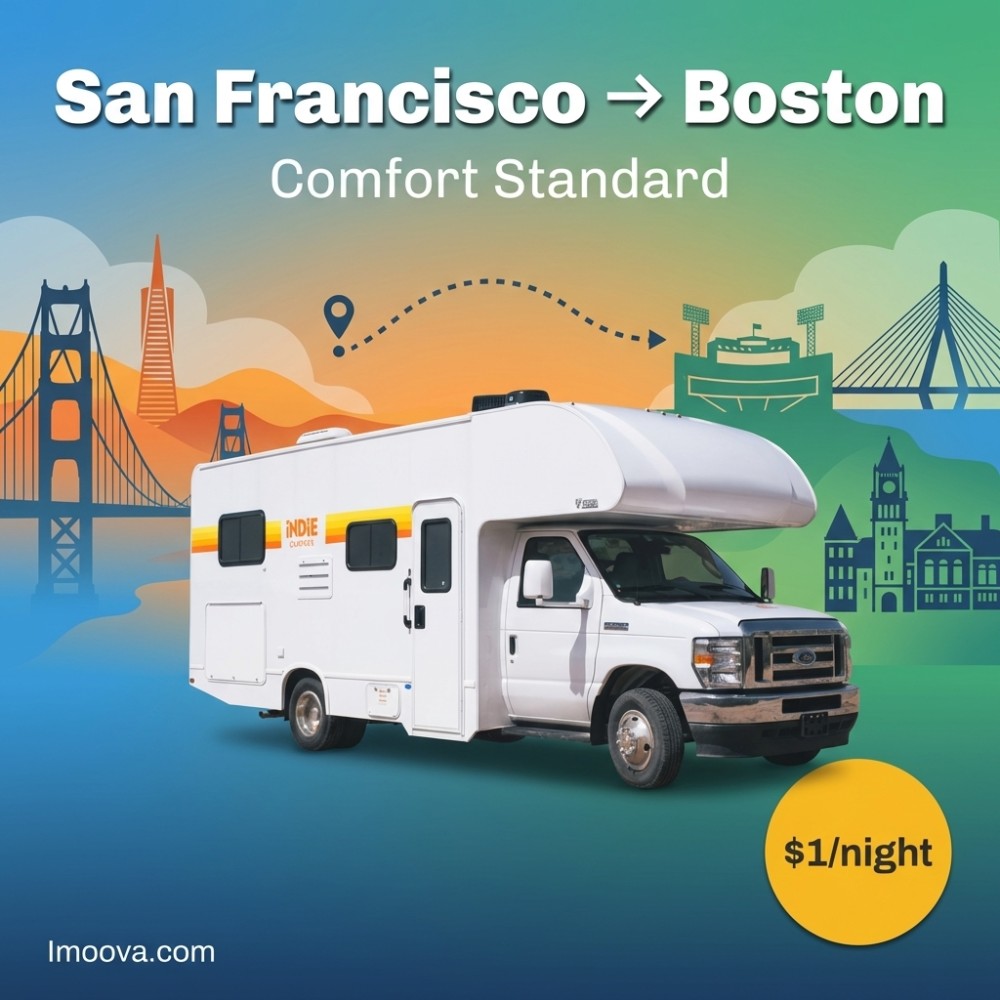 Comfort Standard - image 1