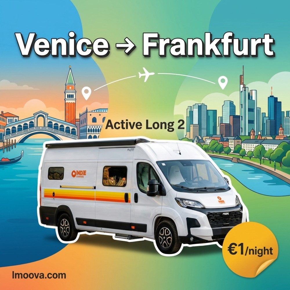 Active Long 2 - image 1