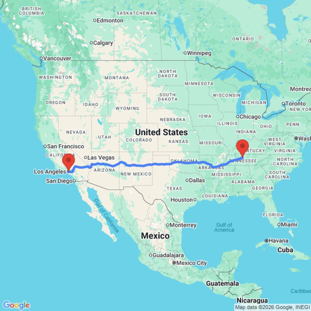 Comfort Standard - image 3