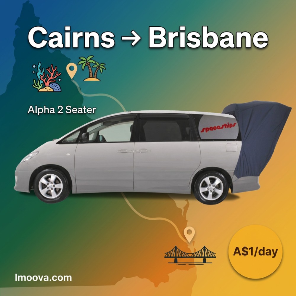 Alpha 2 Seater - image 1