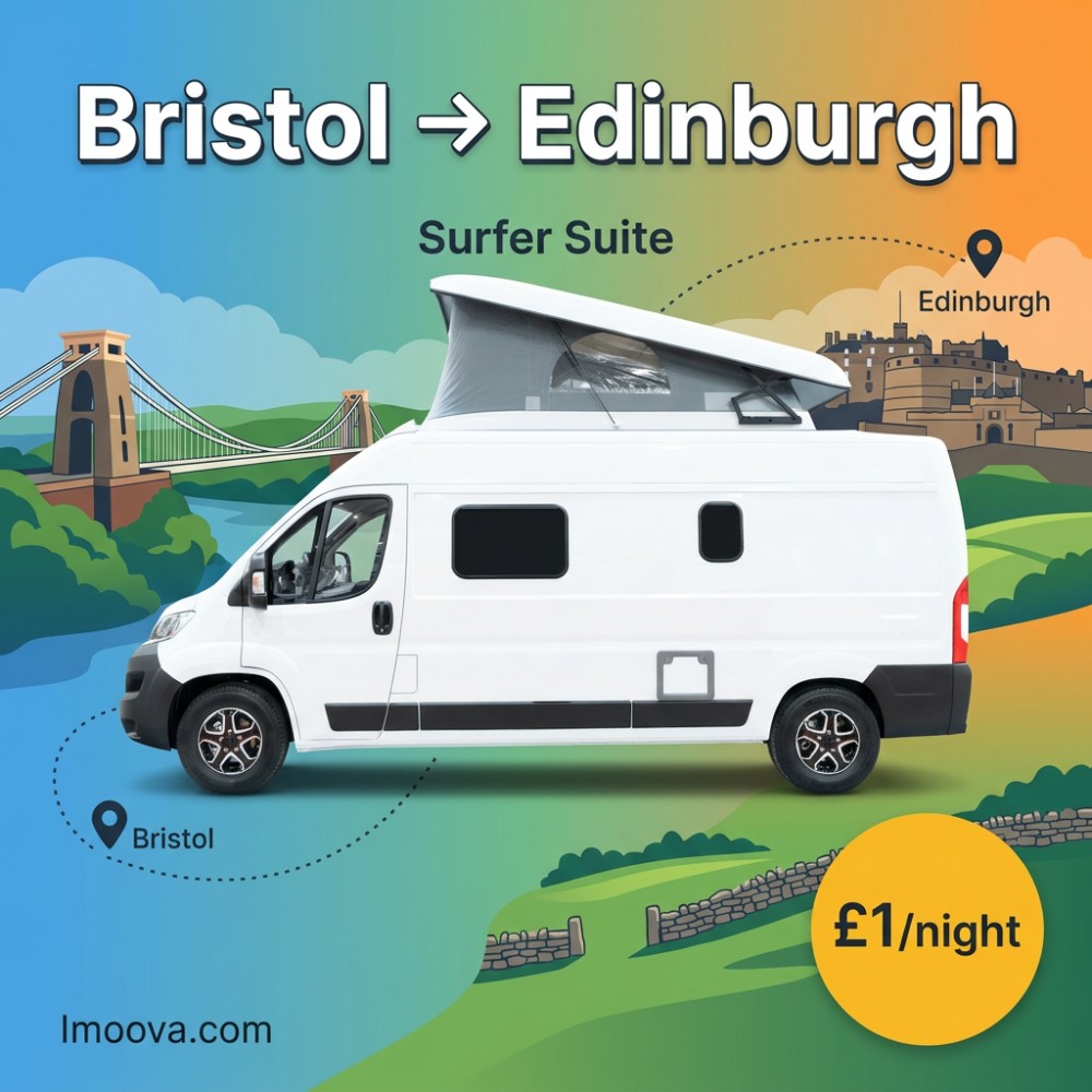 Surfer Suite - image 1