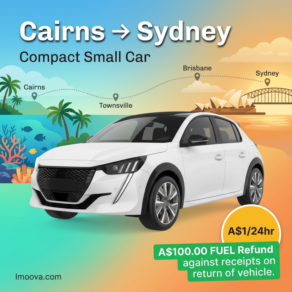 Compact Small Car - image 1