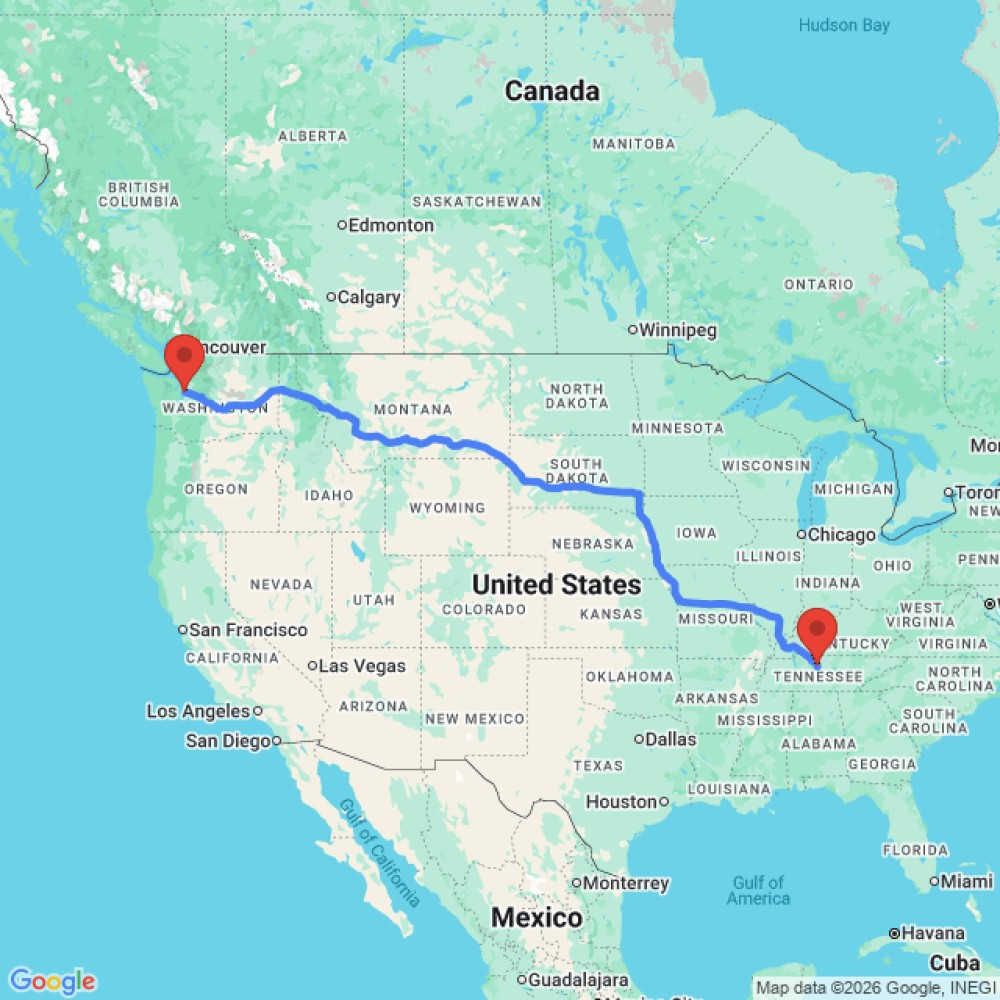 Active Pop Top - image 3