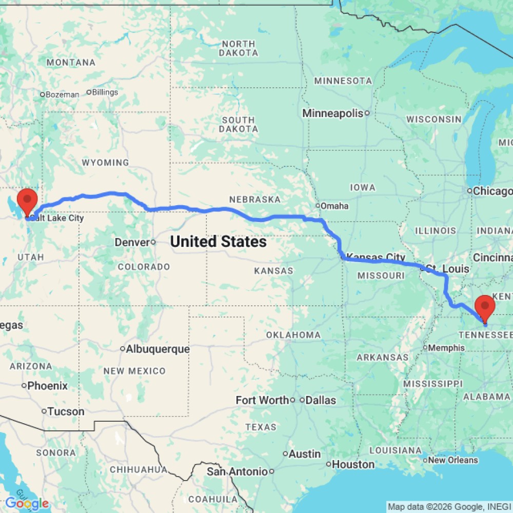 Comfort Standard - image 3