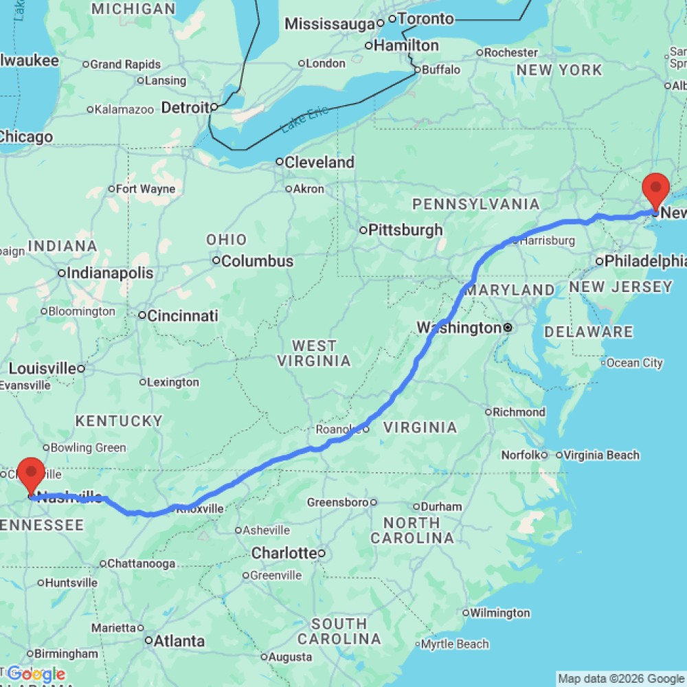 Comfort Standard - image 3