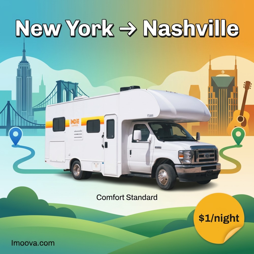 Comfort Standard - image 1