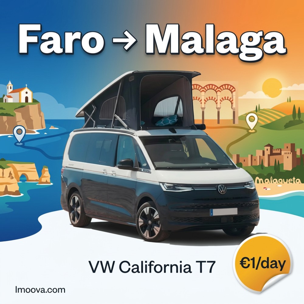 VW California T7 - image 1