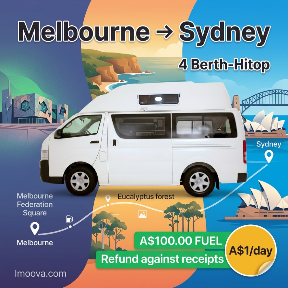 4 Berth-Hitop - image 1