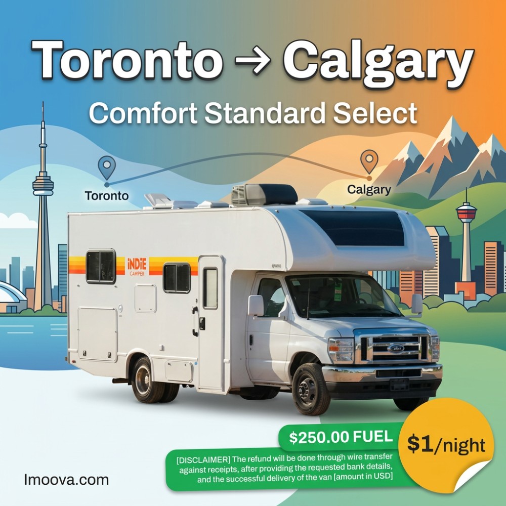 Comfort Standard Select - image 1