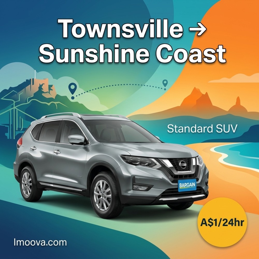 Standard SUV - image 1