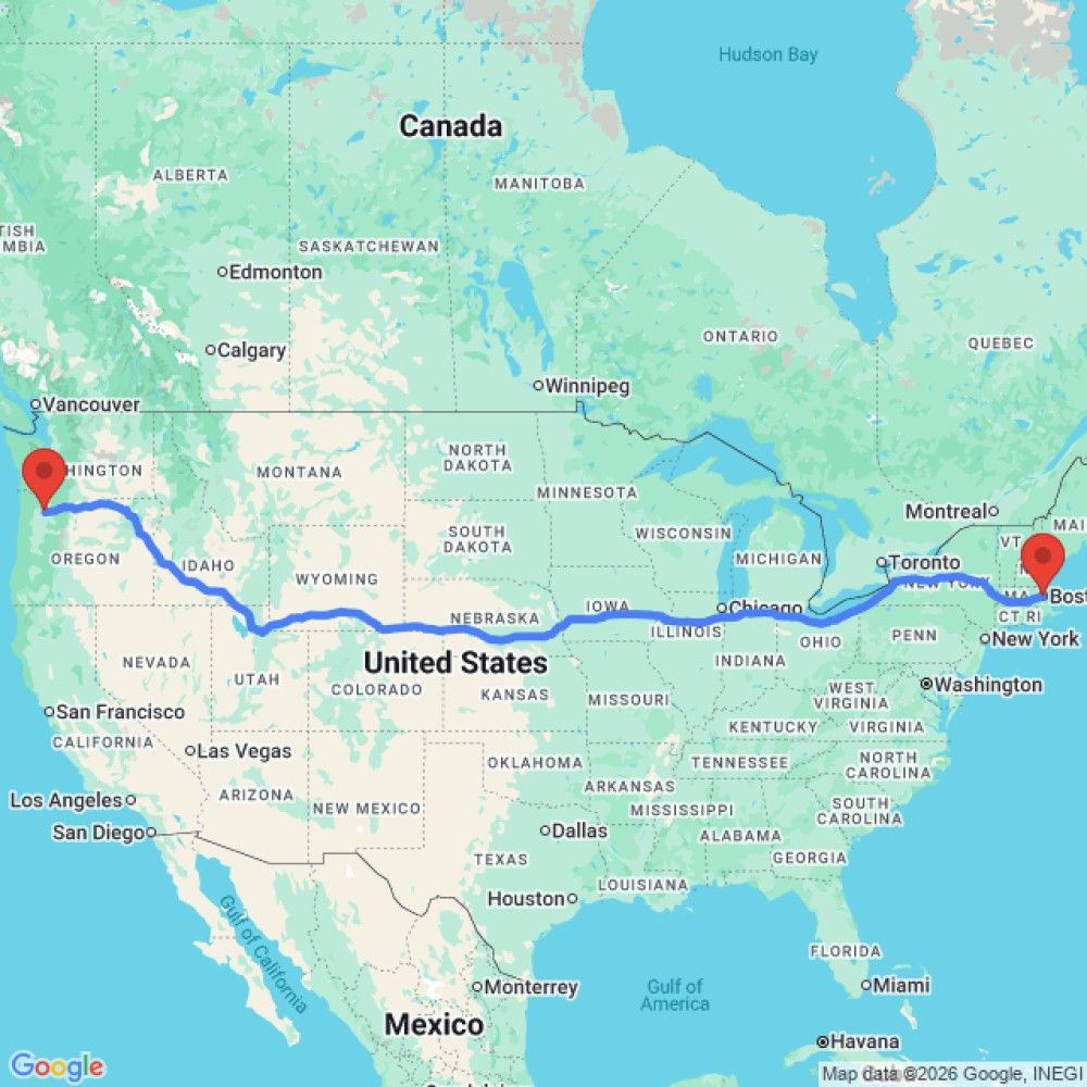 Comfort Standard - image 3