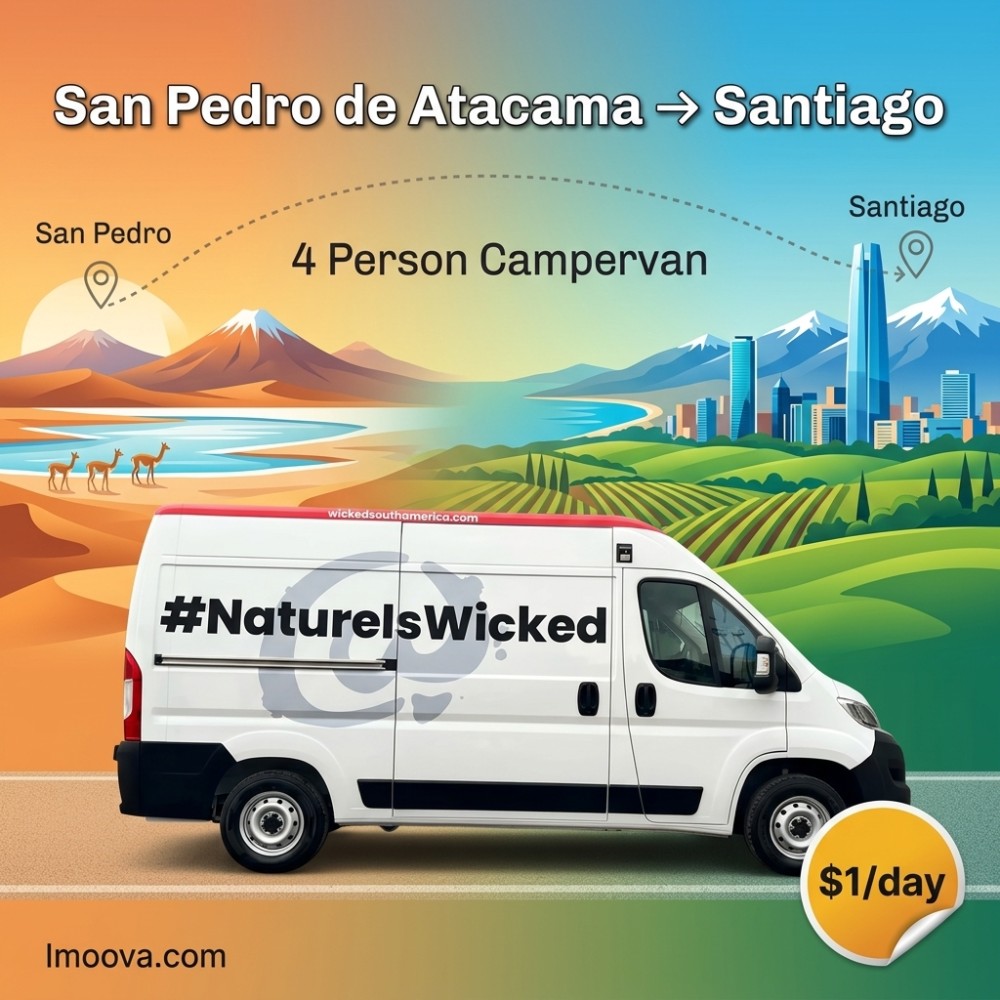 4 Person Campervan - image 1