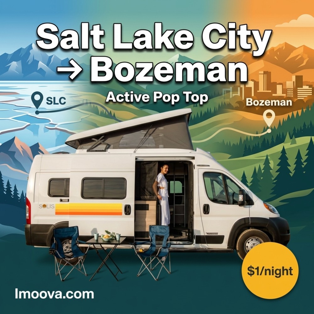 Active Pop Top - image 1