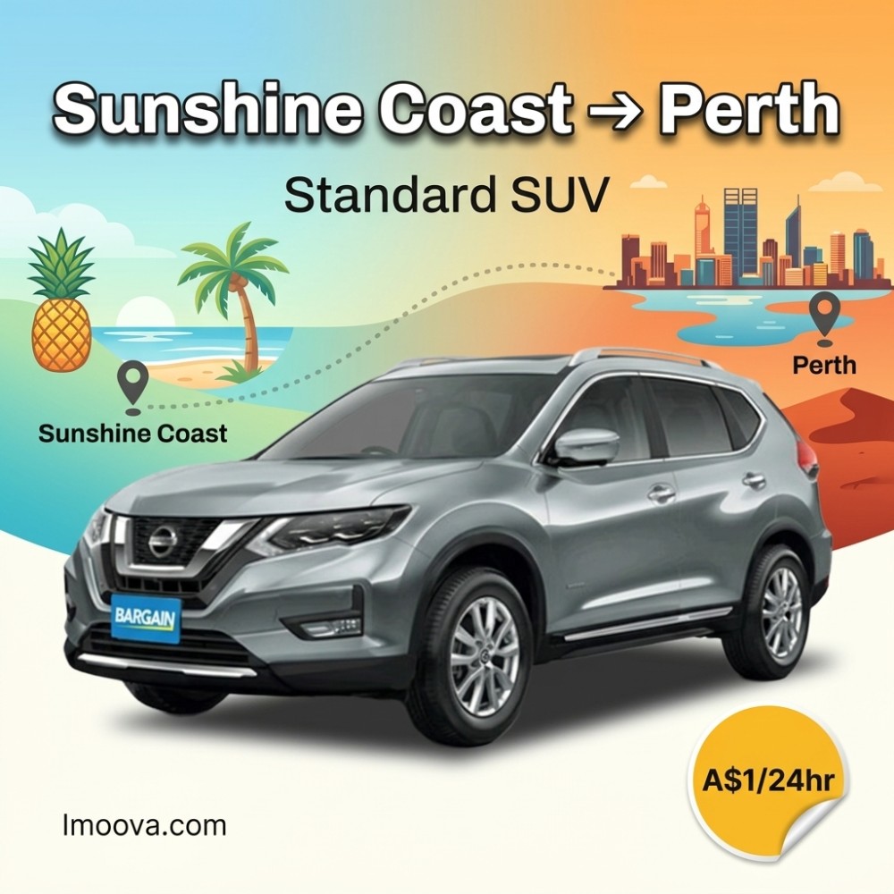 Standard SUV - image 1