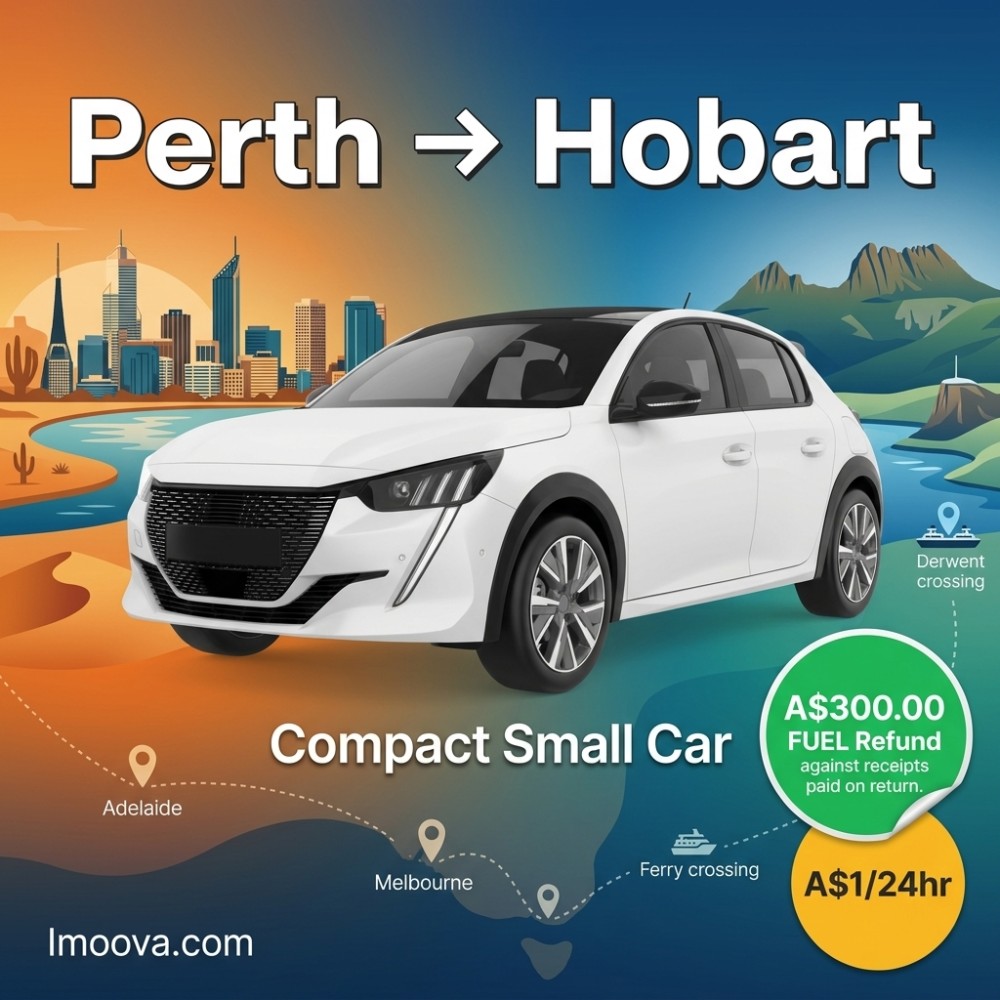 Compact Small Car - image 1