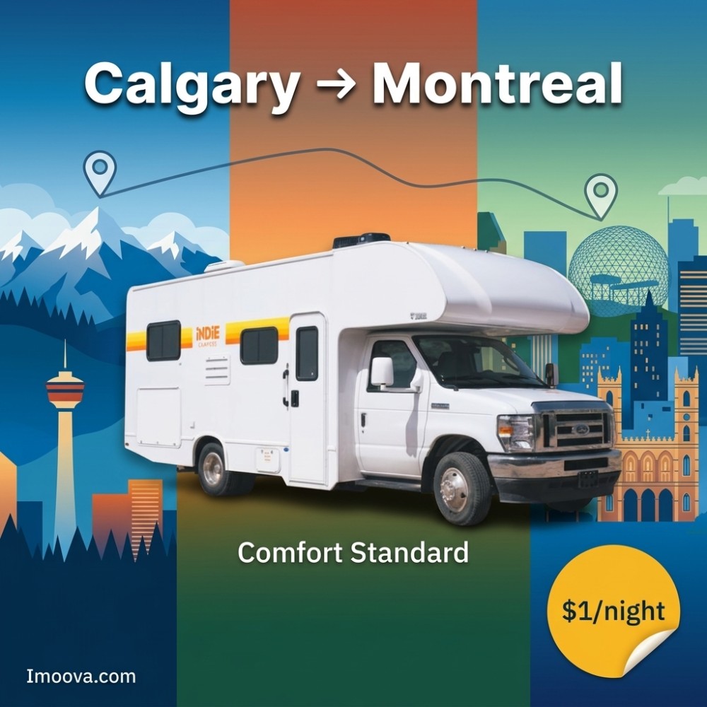 Comfort Standard - image 1