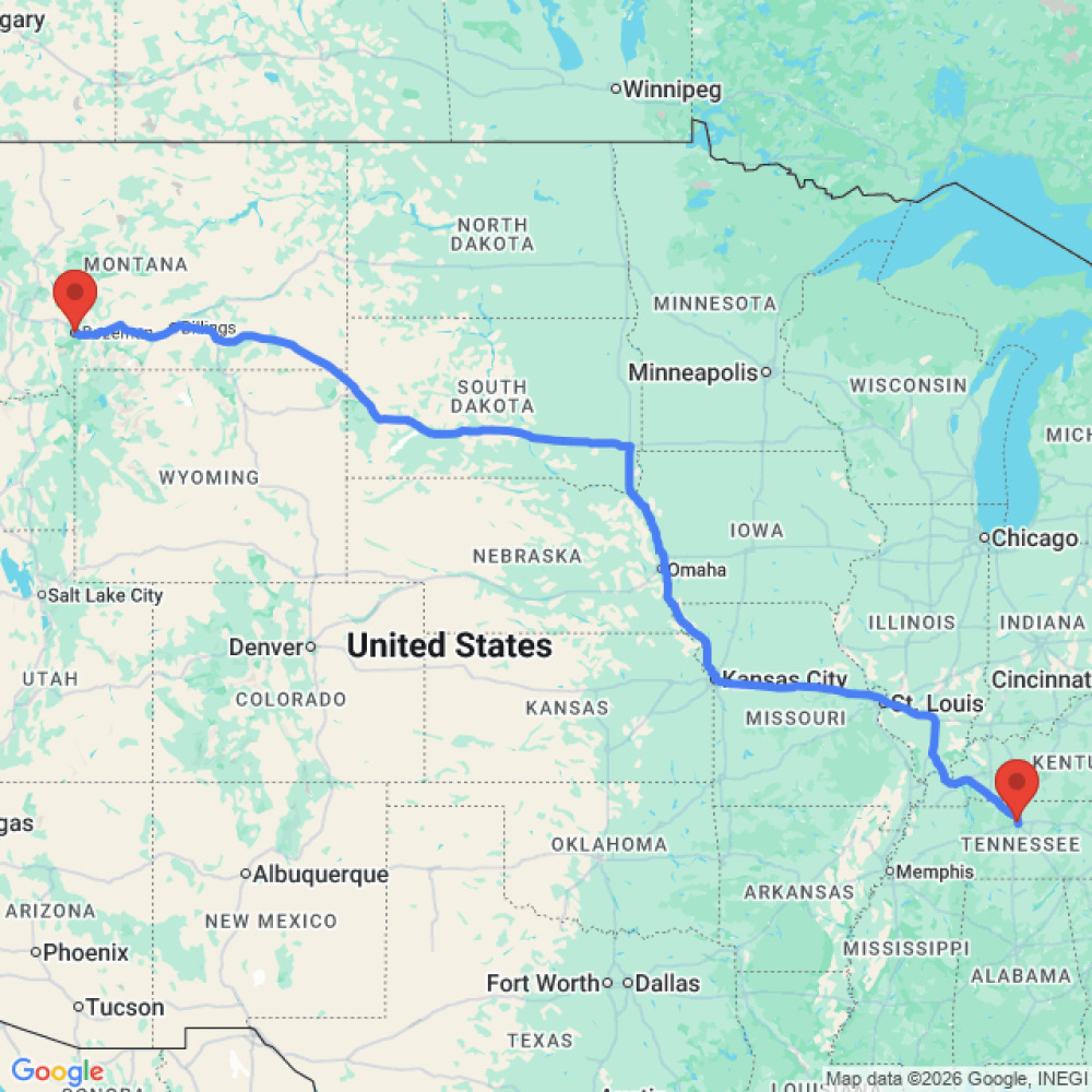 Comfort Standard - image 3