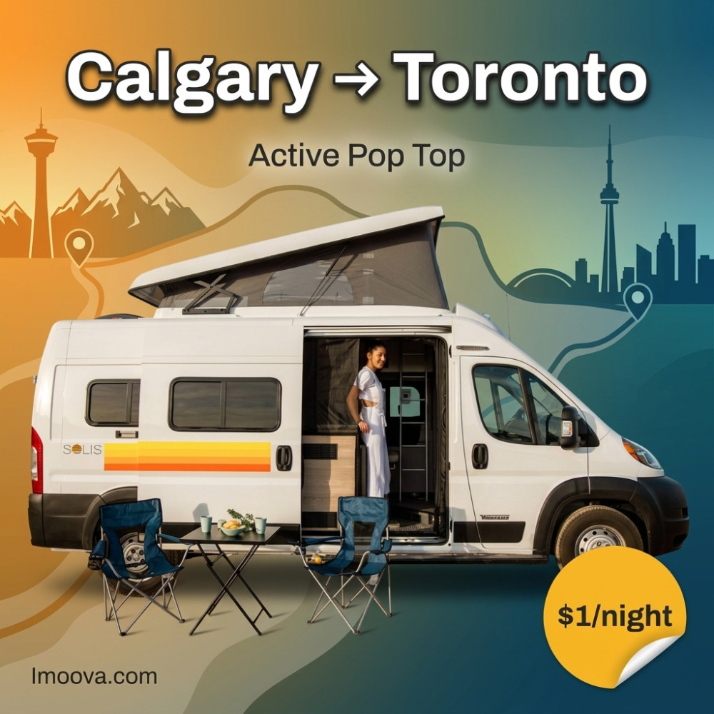 Active Pop Top - image 1