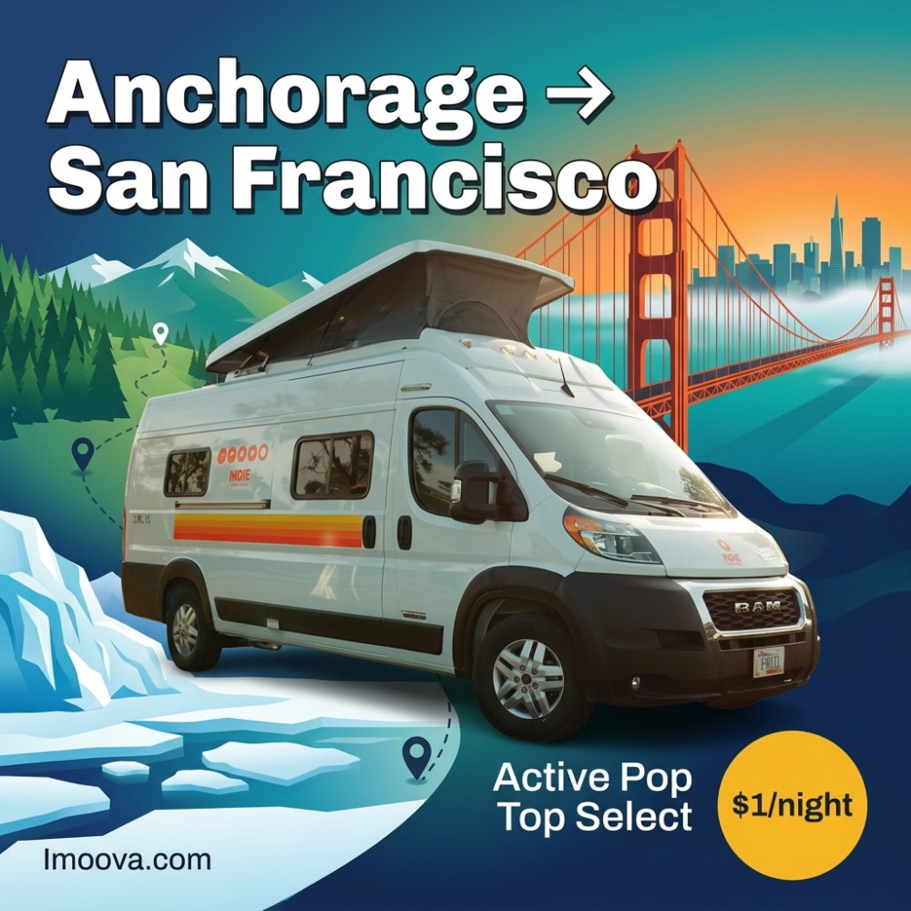 Active Pop Top Select - image 1