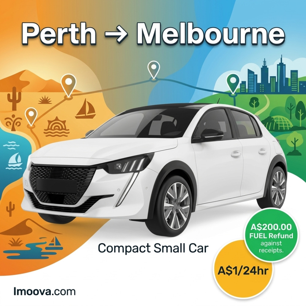 Compact Small Car - image 1