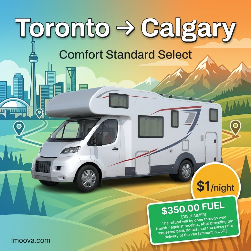 Comfort Standard Select - image 1