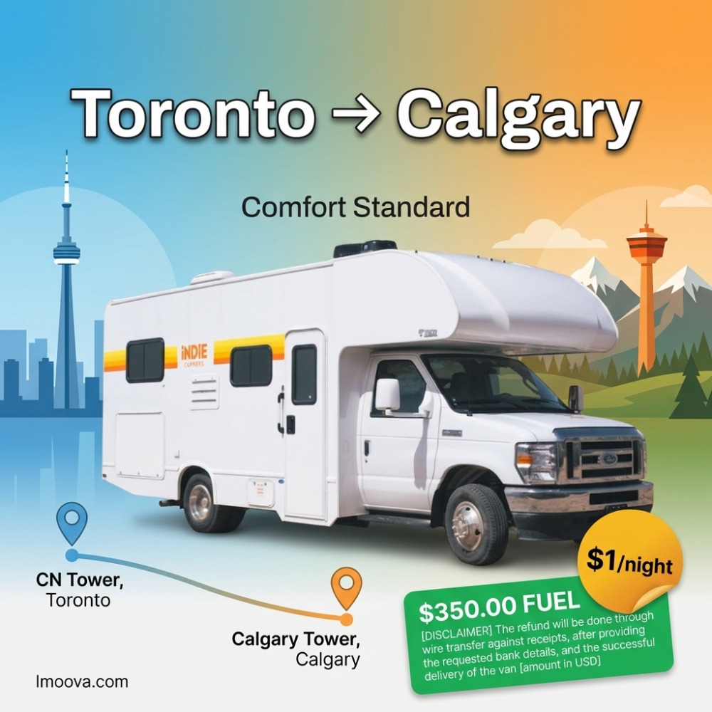 Comfort Standard - image 1