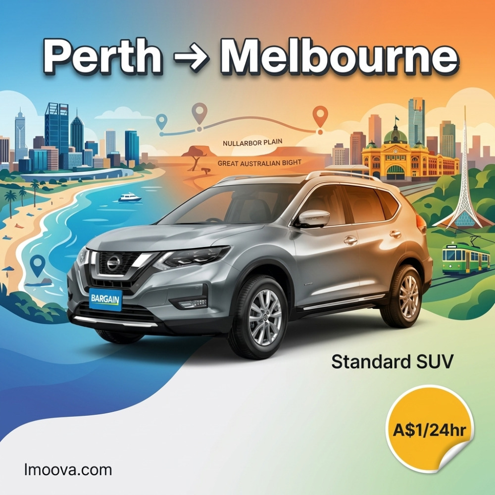 Standard SUV - image 1