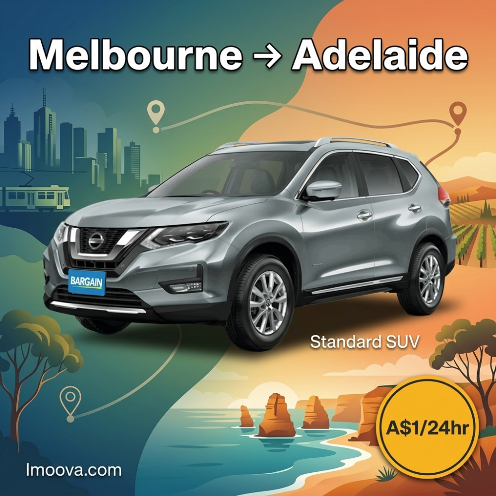 Standard SUV - image 1